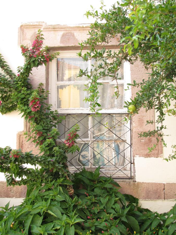 Eolos House Cunda Ayvalik Exterior foto
